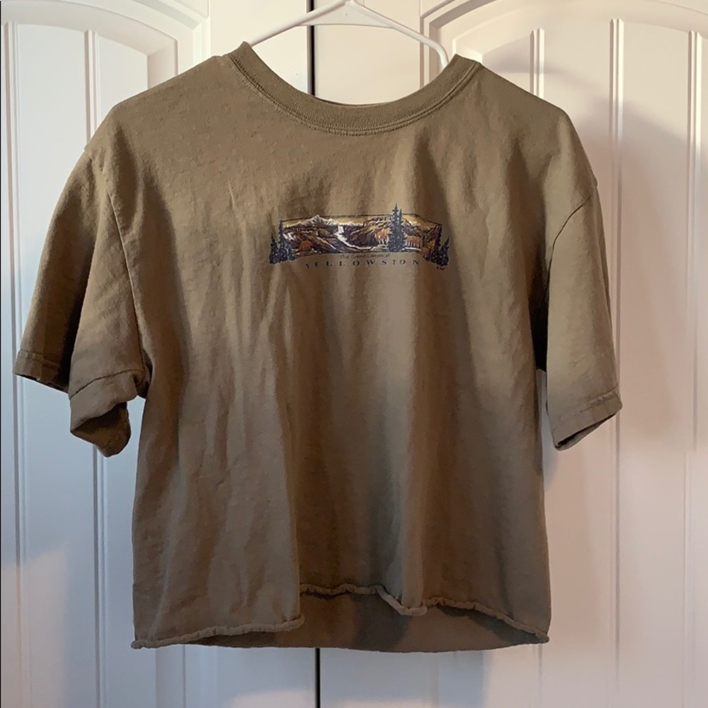 yellowstone crop